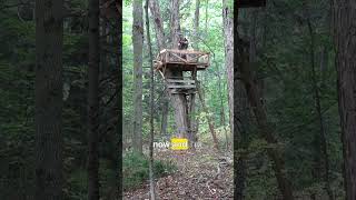 World's Most Impressive Squirrel Hunting Platform