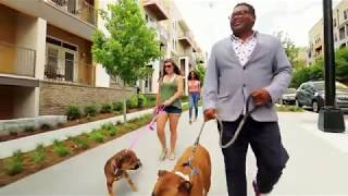 Alexan Glenwood | Atlanta, GA Apartments | Greystar