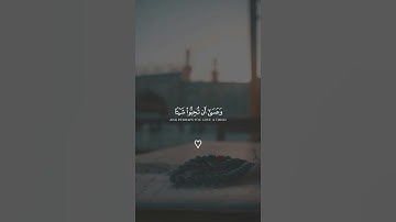 { وَعَسَى أَنْ تَكْرَهُوا شَيْئًا وَهُوَ خَيْرٌ لَكُمْ } من سورة البقرة القارئ: مشاري العفاسي.