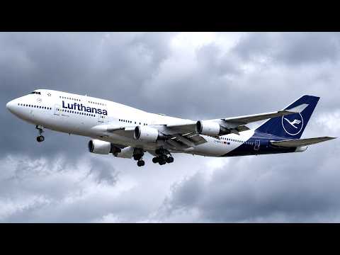 HEAVY Arrivals & Takeoffs | Frankfurt Airport Plane Spotting  | B747, A340