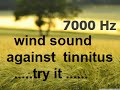 One hour wind at 7000 hz as sound therapy for tinnitus