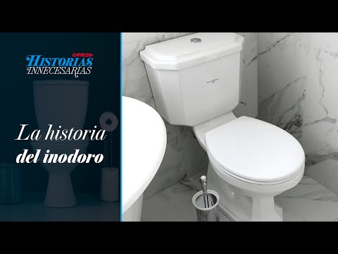 El DÍA del...INODORO?
