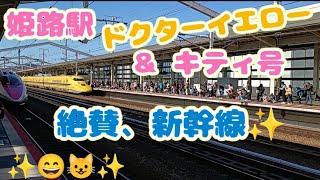 ドクターイエロー＆ハローキティ新幹線！！ - YouTube