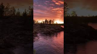 😴✨🌤 Sunset - Закать Солнца #reels #nature #viral #trending #shorts #short #shortvideo #youtubeshorts