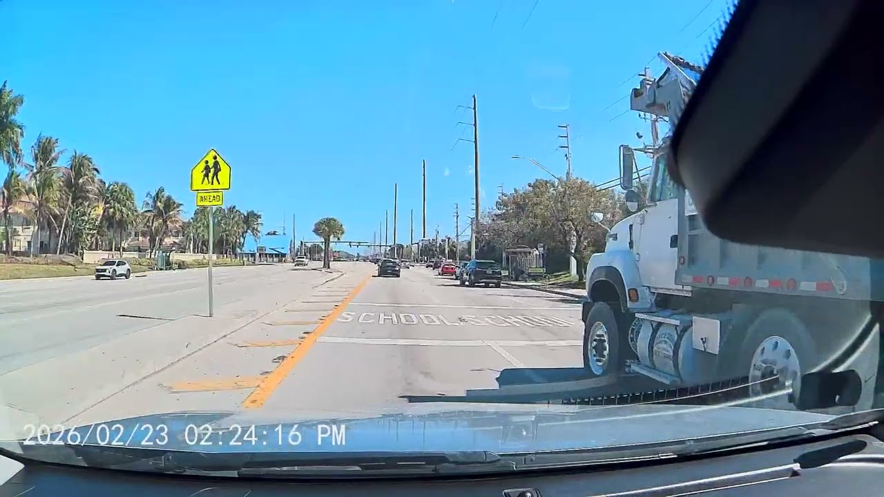 Only in Florida: The Most Unreal Highway Moment Ever Recorded