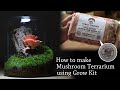 How to make mushroom terrarium using grow kit  pink oyster mushroom pleurotus djamor 