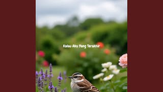 Download Lagu Kalau Aku Yang Terakhir MP3 Download Lagu Kalau Aku Yang Terakhir MP3