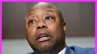 Tim Scott HUMILIATED By LYING For Donald Trump!