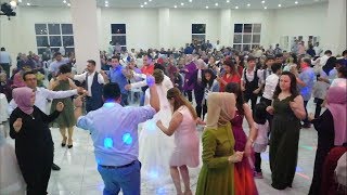 Selendi Oyun Havası / Tolga Han Çekin & Elif Şentürk Düğün. 👏👏👏