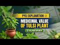 📘 PYQ Explanation – Medicinal Value of Tulsi Plant 🌿