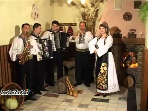 Muzica de petrecere cu Mihaela Petrovici - Intr-un loc numit Banat (Videoclip Original)