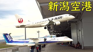 【有料送迎デッキ】新潟空港の離着陸機をご紹介
