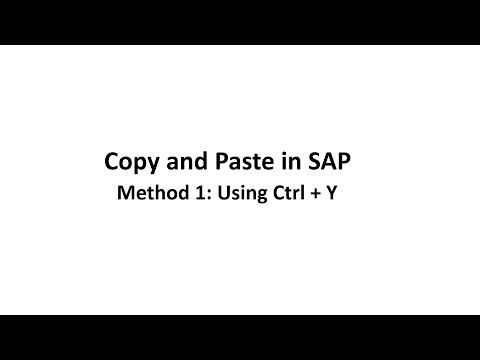 Copy and Paste in SAP - Method 1: Using Ctrl + Y