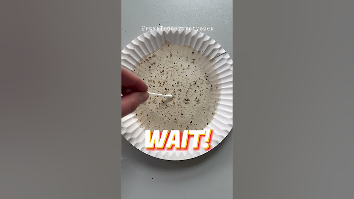 DOŚWIADCZENIE: Uciekający pieprz #doświadczenie #experiment #tutorial #science