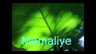 Mamaliye - Singabendworkshop