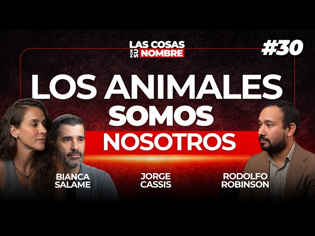 Miniatura del episodio: El perro que ganó un juicio en Ecuador: así fue el caso Capuccino