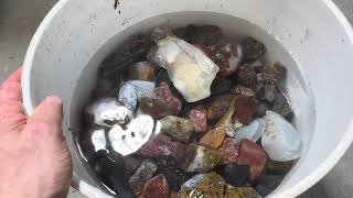 Polishing Agates in “The Beast” Vibratory Tumbler