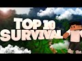 Top 10 survival plugins   ft soulstriker