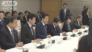 高齢者向け「限定免許」検討指示　安倍総理(19/10/30)