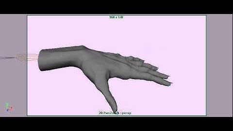 Skinning Hand 2