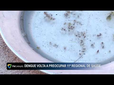 Dengue volta a preocupar 11ª regional de saúde