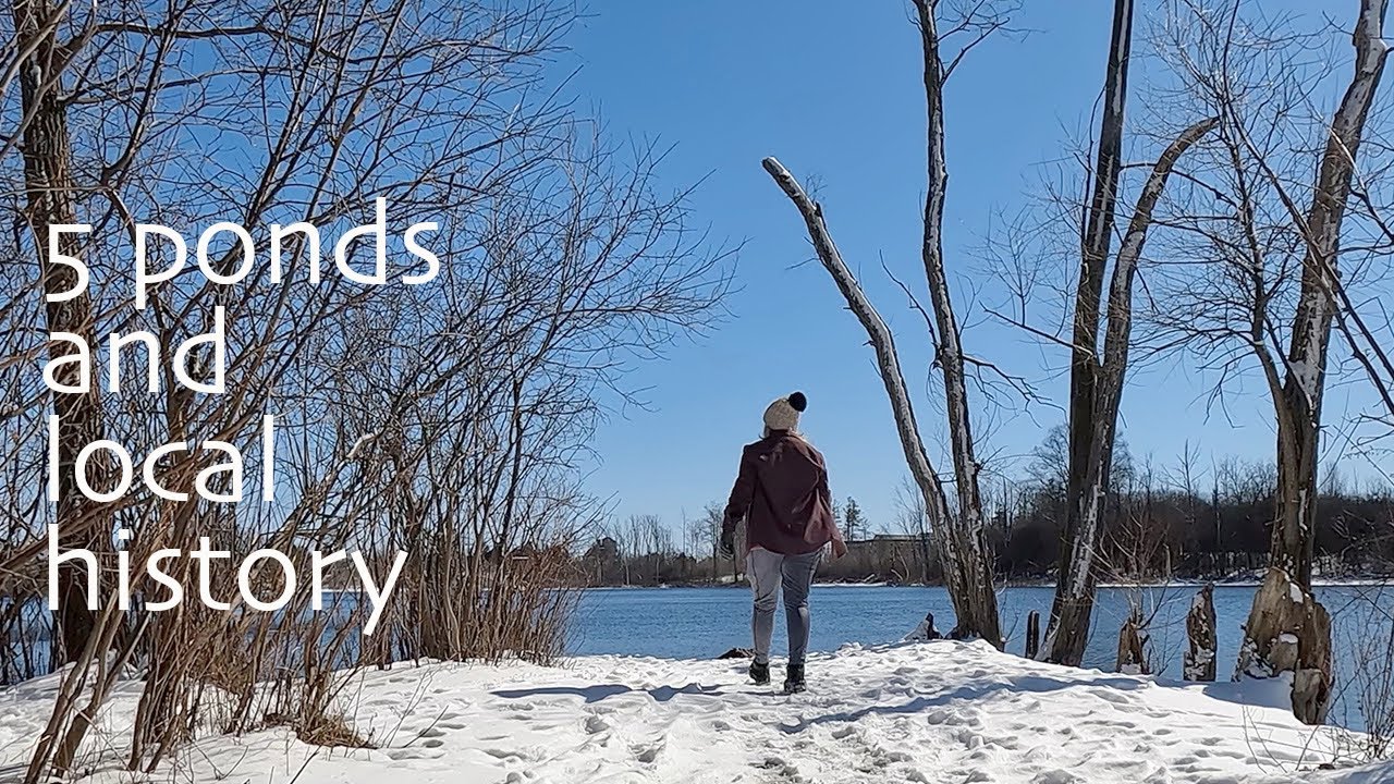 Westminster Ponds Conservation Area, London