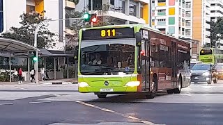 (Pollen Collection II Full Body Advertisement) SG1101Z(SEDEP) On Service 811 At Yishun Avenue 2