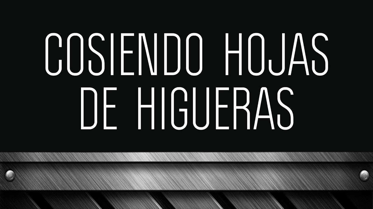 COSIENDO HOJAS DE HIGUERA - HORIZONTE QUERÉTARO pastor belga