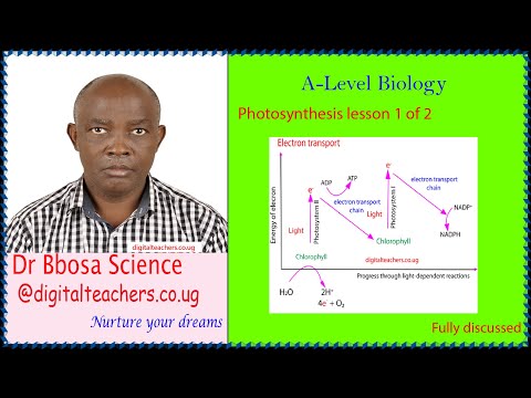 Video: Photosynthesis ni nini kwa wanafunzi wa shule ya sekondari?