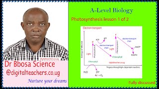 Photosynthesis lesson 1 of 2 By Dr. Bbosa Science