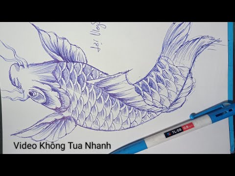 Hướng Dẫn Vẽ Cá Chép Không Tua Nhanh || Carp Drawing Tutorial  || Lợi Vlogs