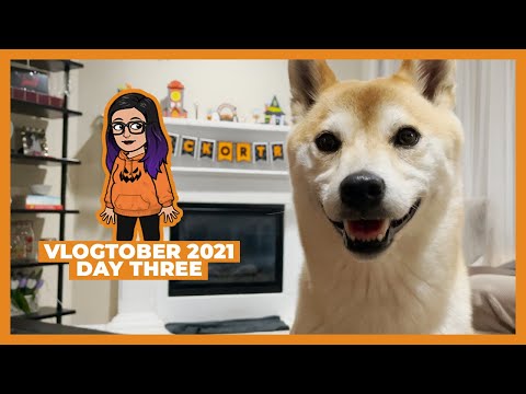 Picnic in the Park | Vlogtober 2021