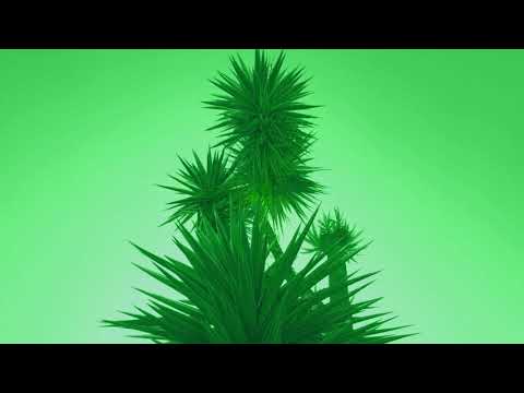 Therematic - "Exotique Mecanique" (Primavera Labels, 2021)