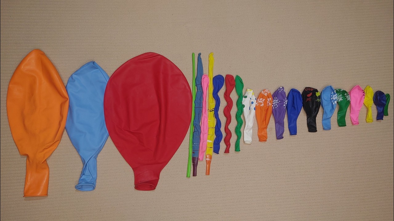 Scepter Mini Balloon Satisfying ASMR 🎈 Colorful Large to Mini Balloons Popping Collection 💥 ...