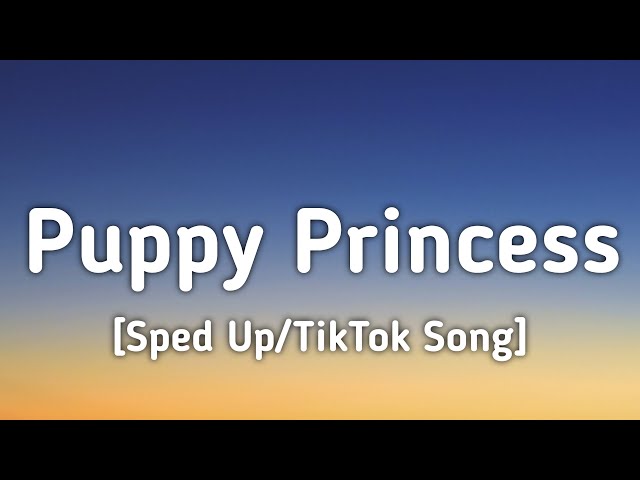 Hot Freaks - Puppy Princess (Sped Up/Lyrics) "Kiss me, kiss me with your eyes closed" [TikTok Song]