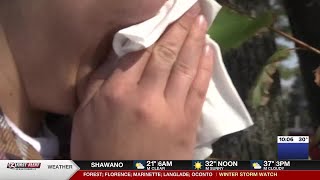Health experts provide symptom management tips ahead of spring allergy season