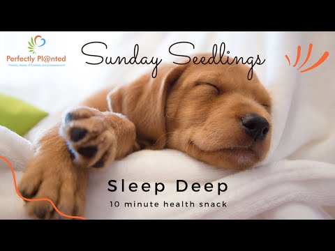 Sleep Deep – Sunday Seedling with Perfectly Pl@nted