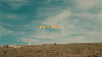 Pale Jay-