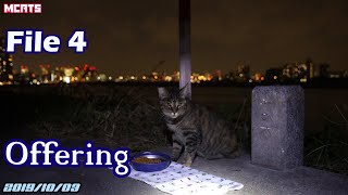 【夕やけにゃんだん・８匹】 Offering to Tama River Bank Stray Cats File 4  【多摩川土手の野良猫達への餌・供物】