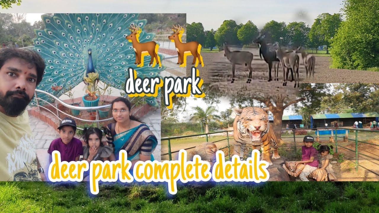 Deer 🦌🦌 park  mireppudaina Vellinara karimnagar lo 