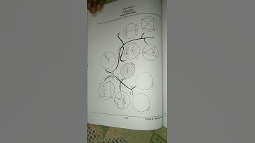 Class 9 Term 2 All mind maps Maths 📑