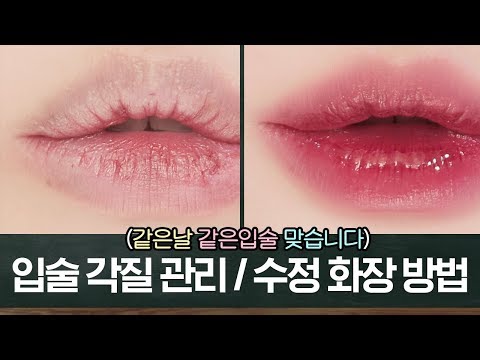 {요청폭주} 틴트 착색 없애기 / 입술 각질 관리 / 립메이크업 수정 방법 #뷰티인강