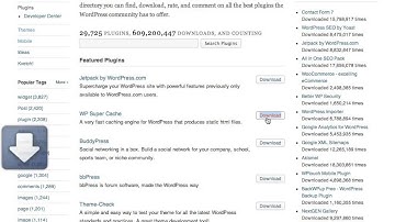 Wordpress Training Video 5   Installing Plugins in Wordpress   Baer On Marketing