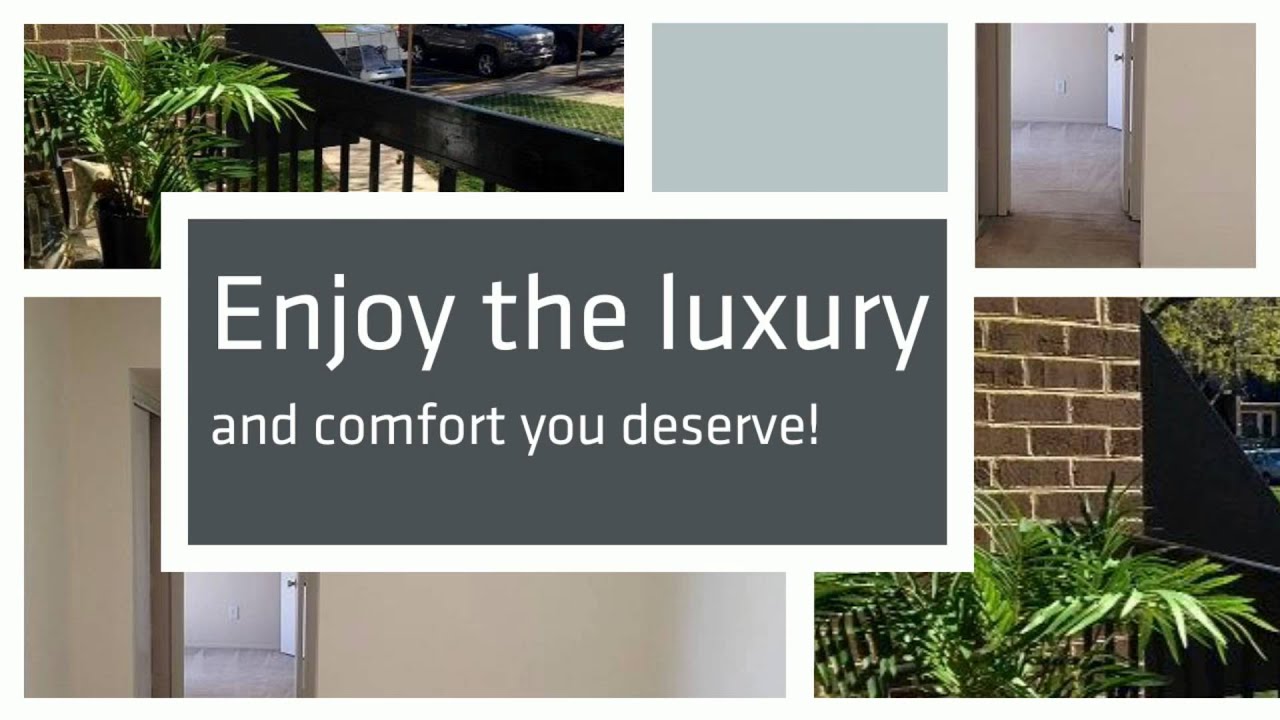 Woodvale Apartments for Rent in Silver Spring, MD YouTube