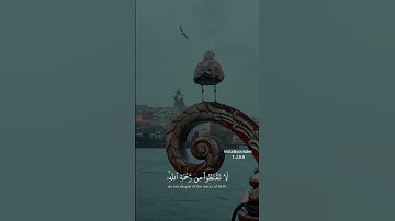 آيه 53 من سورة الزمر بصوت الشيخ ياسر الدوسري