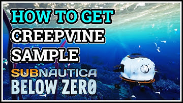 How to get Creepvine Sample Subnautica Below Zero