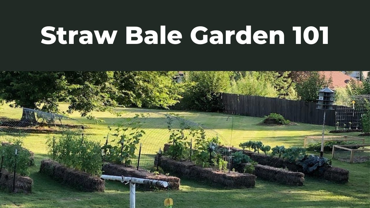 Сад из соломенных тюков: от начала до конца