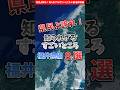 【福井県】県民よ誇れ！知られざるすごいところ８選【都道府県別】 / Surprising Facts About Fukui #shorts #福井県