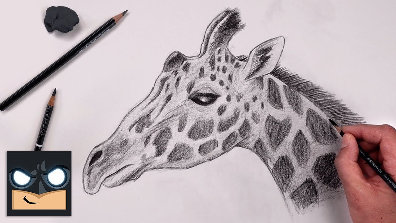 How To Draw a Giraffe YouTube - Maxresdefault