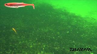 daiwa duckfin liveshad